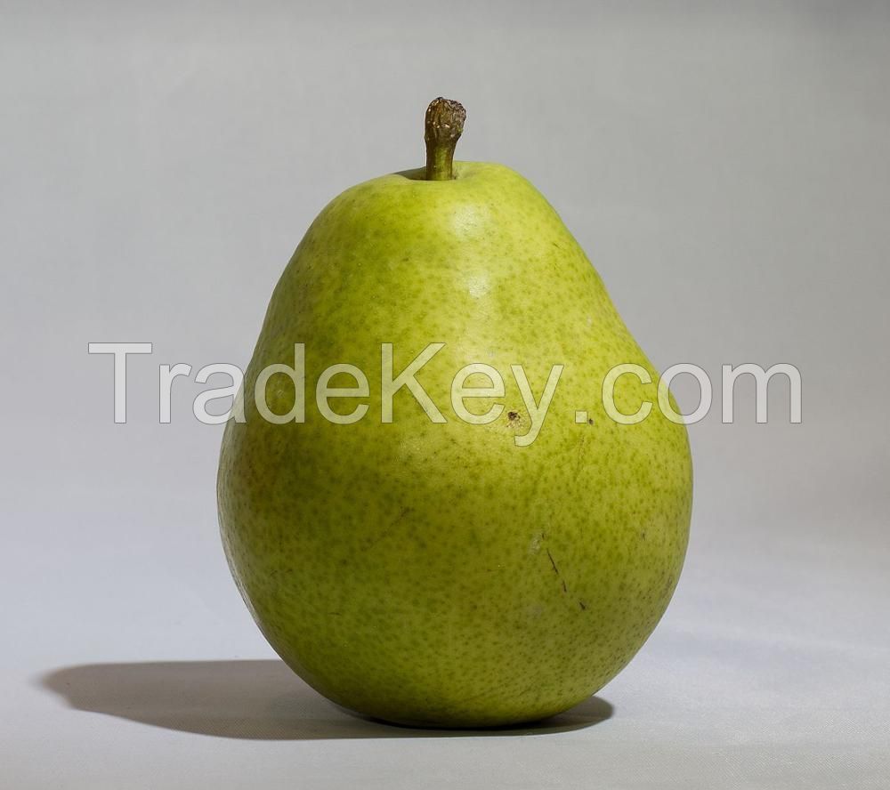 Wholesale Fresh Pear / Ya Pear Fruit Price / Fresh Golden Pear Best Price