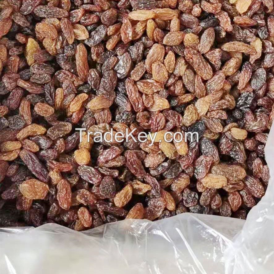 Raisin Green Raisin Dried Muscat Raisin