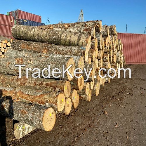 FIREWOOD LOGS / Wood Logs /Birch / Oak / Ash / Pine