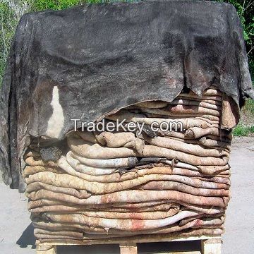 Dry And Wet Salted Donkey/Wet Salted Cow Hides wholesale.
