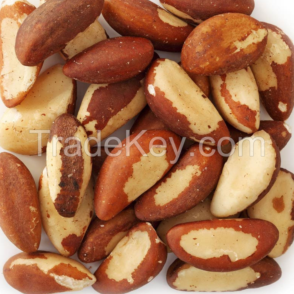 High Quality Brazil Nuts Wholesale Natural Peru 100% Pure Raw Premium Brazil Nut Bulk