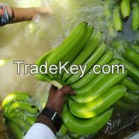 fresh cavendish Banana