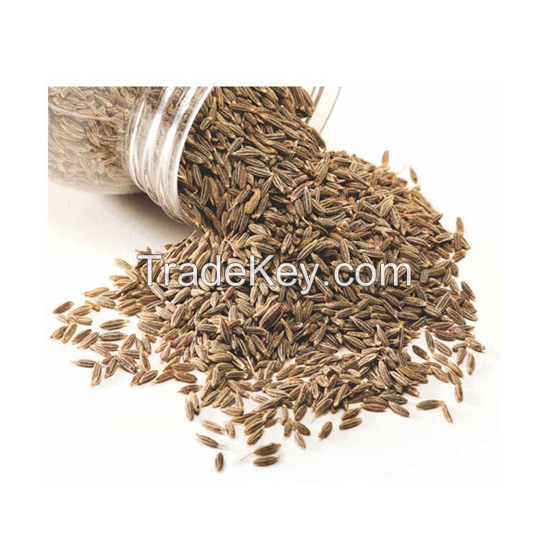 Wholesale cumin seeds