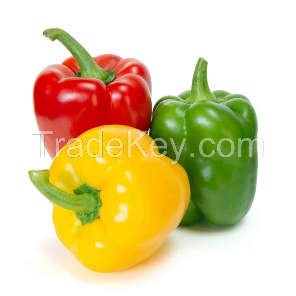 Bell Pepper Sweet And Fresh In Red Yellow Green Bell Pepper