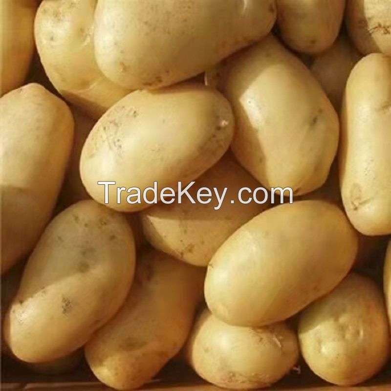 wholesale potato