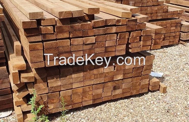 Round wood logs , Azobe, Ayous , ipe, zingana , acajou