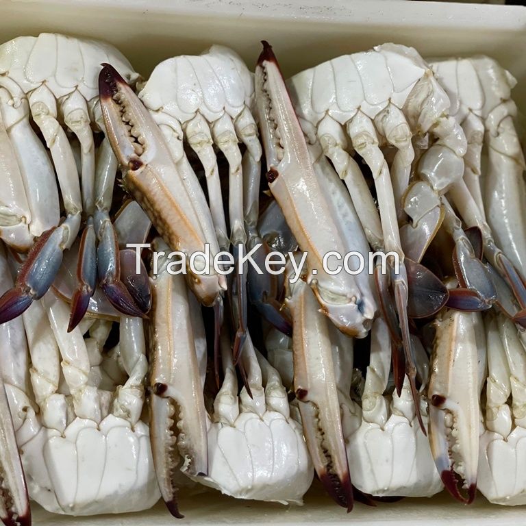 Frozen Cut Blue Swimming Crab