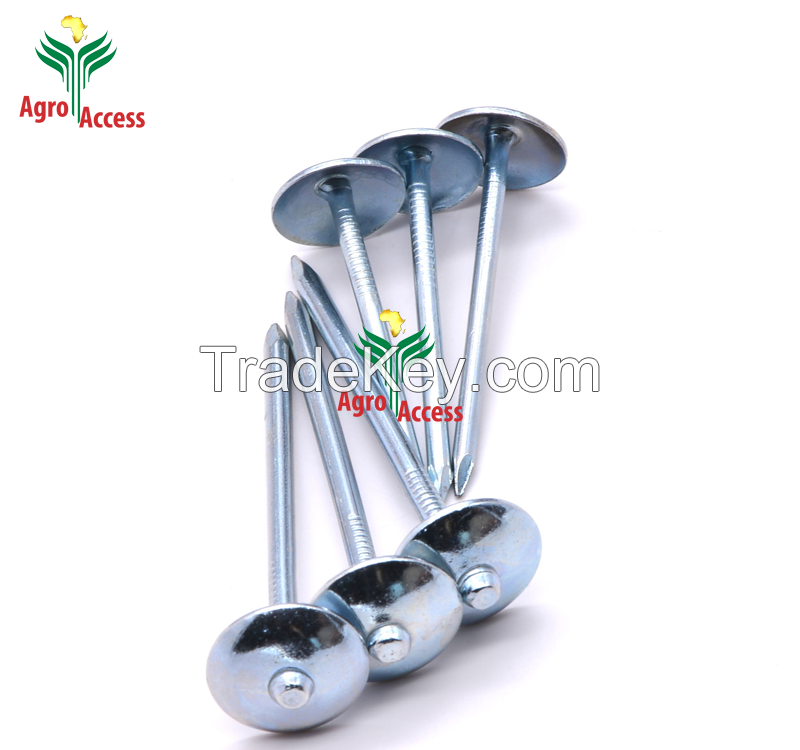 High quality durable galvanized umbrella head roofing nails