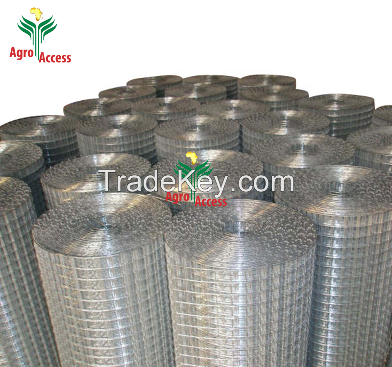 factory high quality Hot Dipped Galvanized Welded Wire Mesh square Wire Mesh fence roll