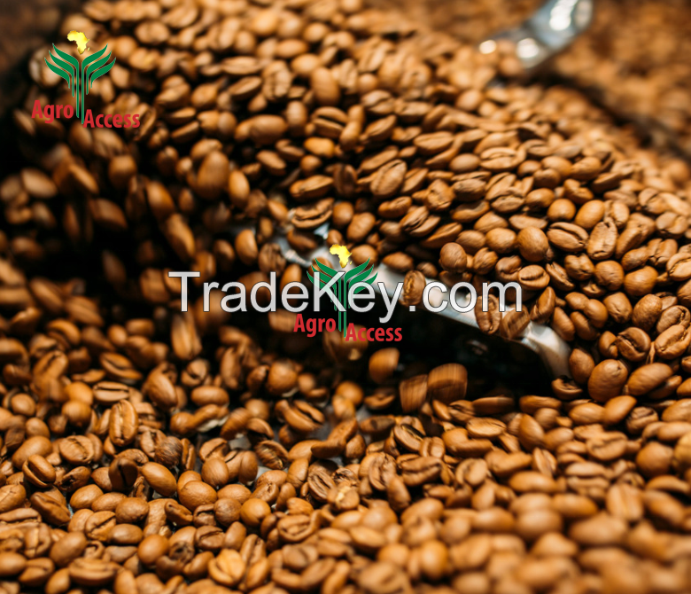 Arabica Coffee Beans