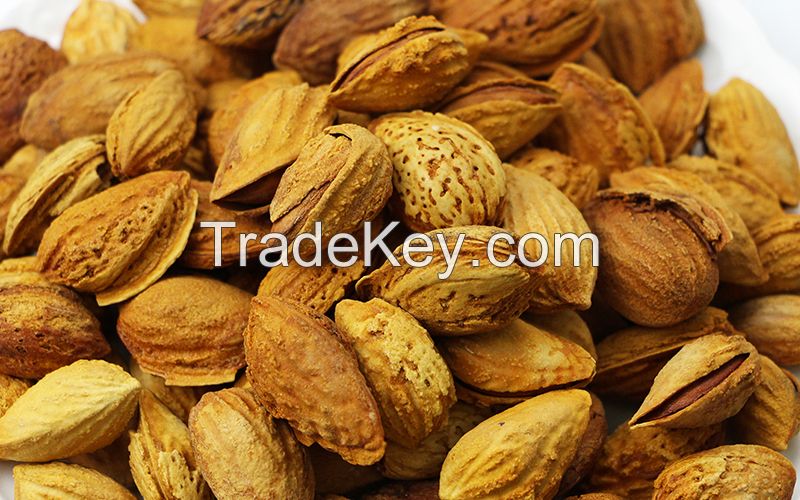 Almond Nuts Almond Almond Nuts Wholesale Price Almond Nuts For Sale