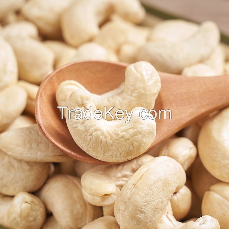 Wholesale bulk competitive price high quality raw cashews nuts
