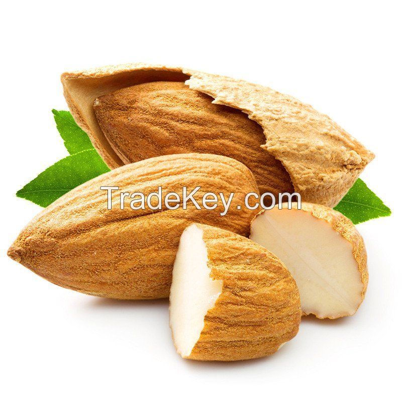 sweet raw kernel all sizes 18-24 nuts price 1 kg trade almond for sale