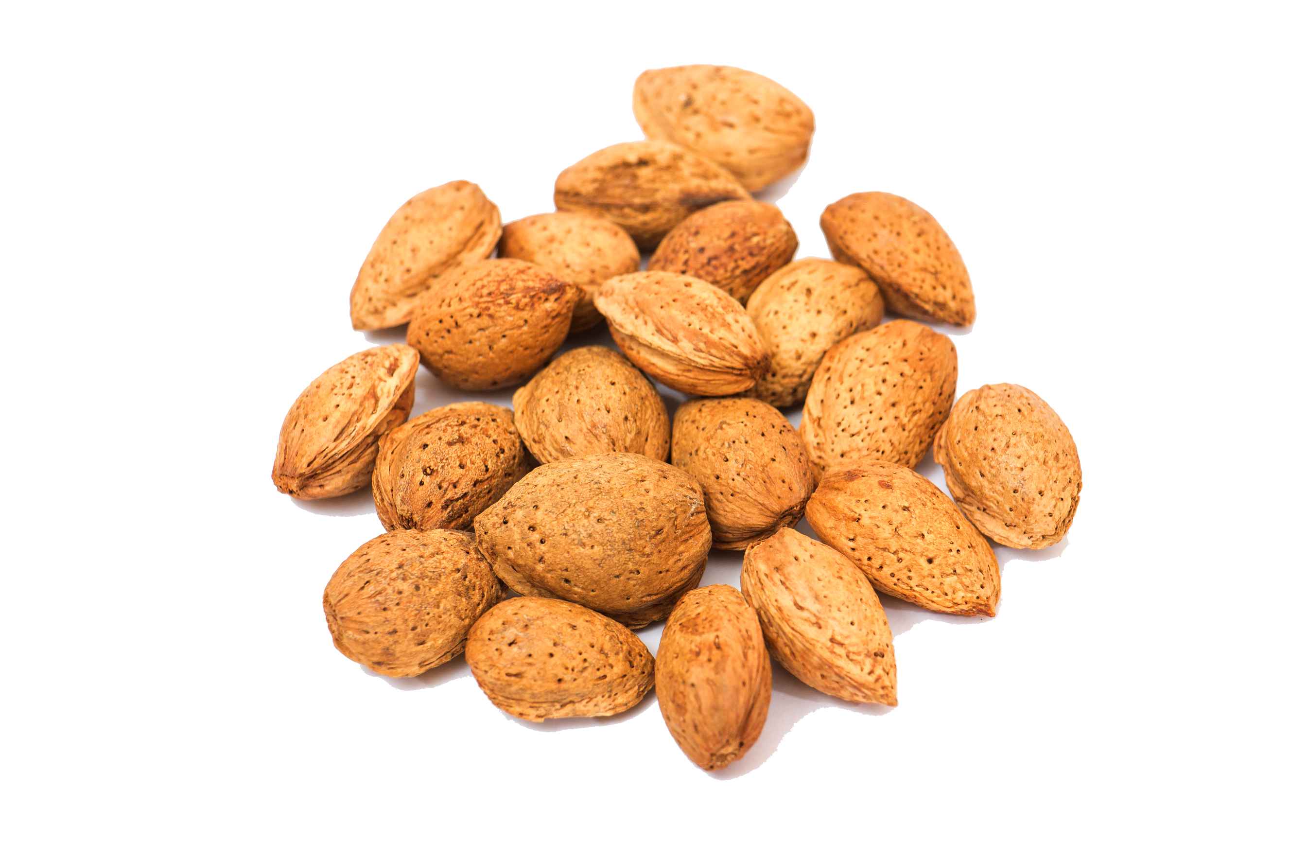 Quality Almond Nuts Organic /Almond Nuts / Raw Natural Almond Nuts for sale
