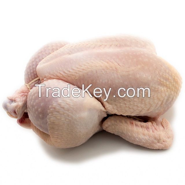 Wholesale Prices Whole Frozen Halal Chicken