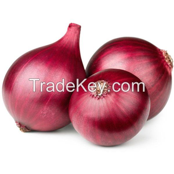 Exporter and Manufacturer of Red Onion Seeds For Export at Affordable Price