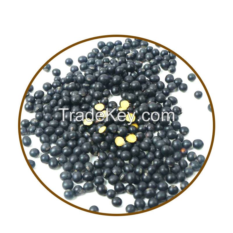 Wholesale Large Number High Quality Organic Black Beans Black Kidney Beans