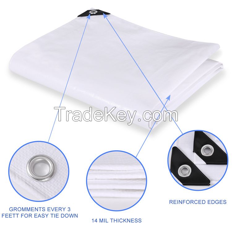 Outdoor Waterproof PE Tarpaulin For Cover Tarp