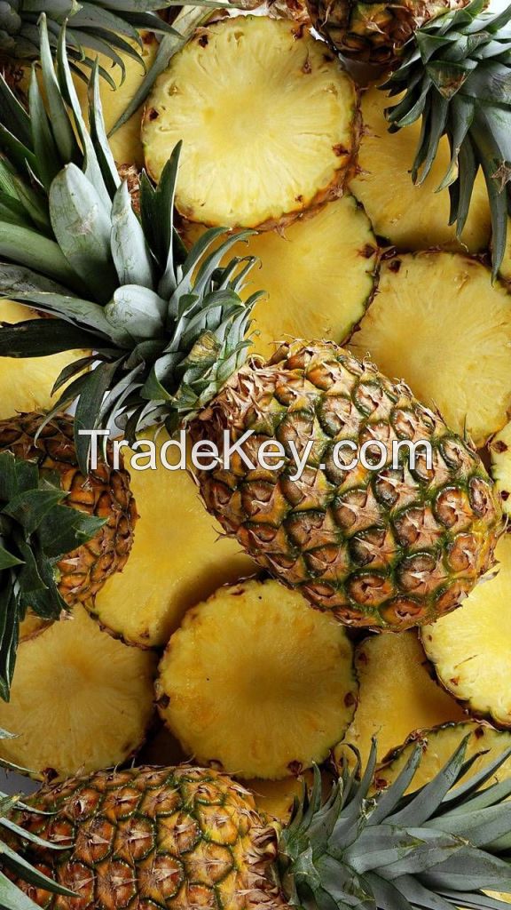 Special Price Queen Fresh Pineapple