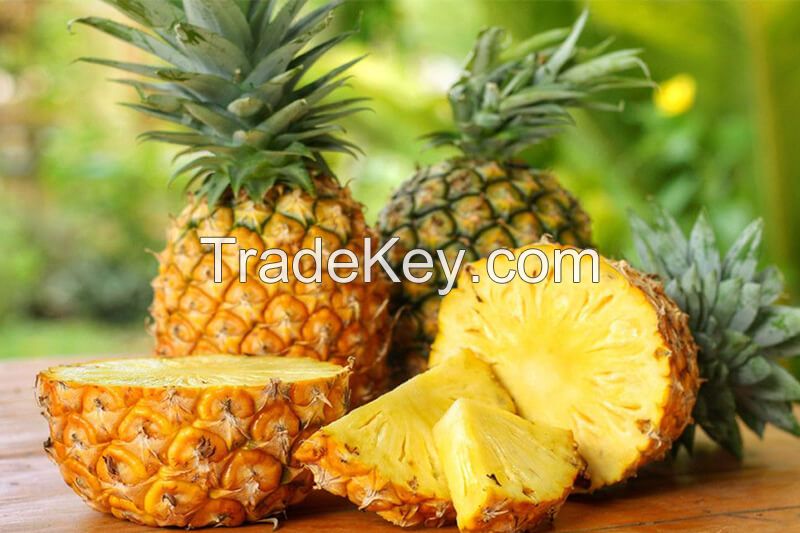 Fresh Pineapple In Stock