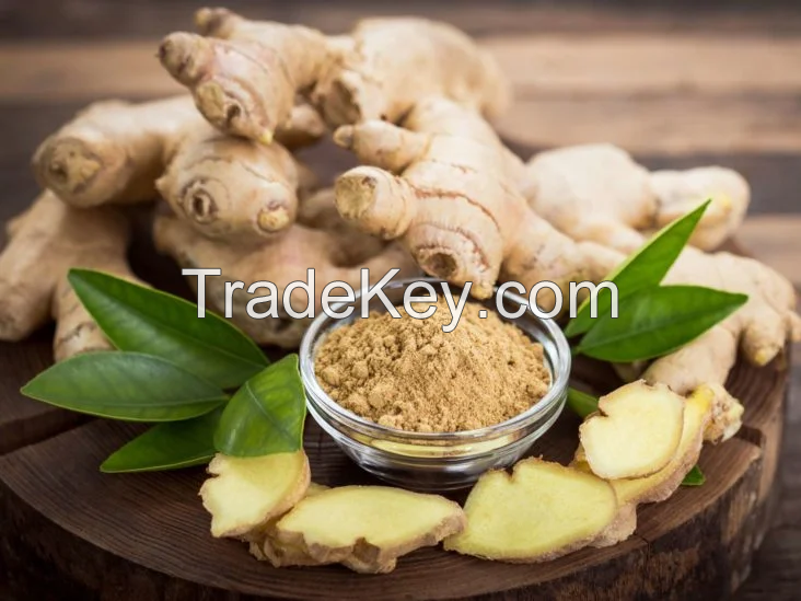 Ginger organic, wet  Ginger, dry Ginger