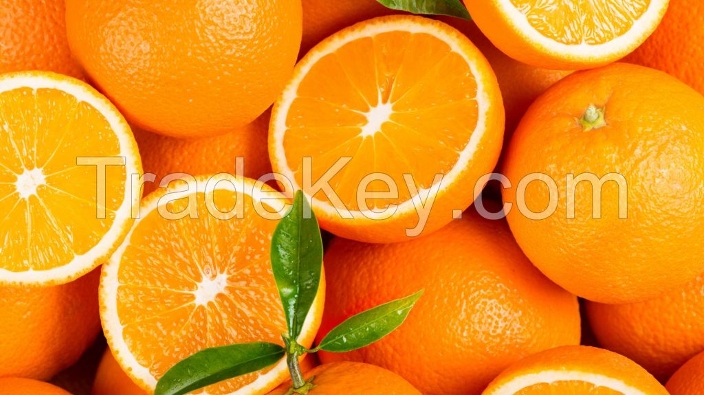 Fresh Oranges