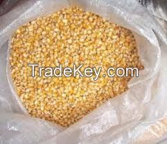 Wholesale Price Yellow Corn Best Quality Yellow Maize Corn For Animal Feed Supplier