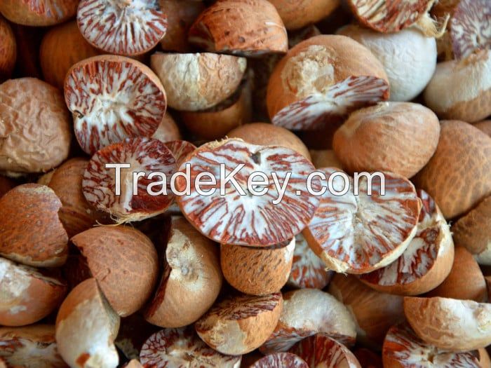 Wholesale Betel Nuts