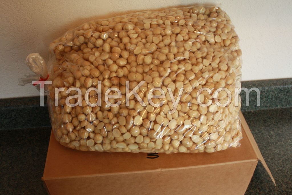 Nuts Macadamia Dried Nuts Factory Price Macadamia Nuts in Shell