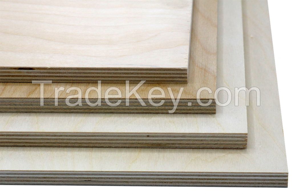 Furniture Grade Baltic Russian Birch Plywood