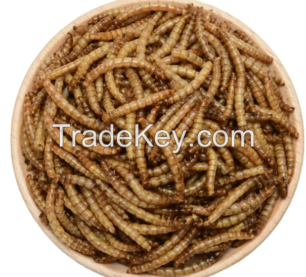 Gold Fish Food, Wholesale Sturgeon Growth Feed Additives Pellet Worms Gold Fish Food For Sale