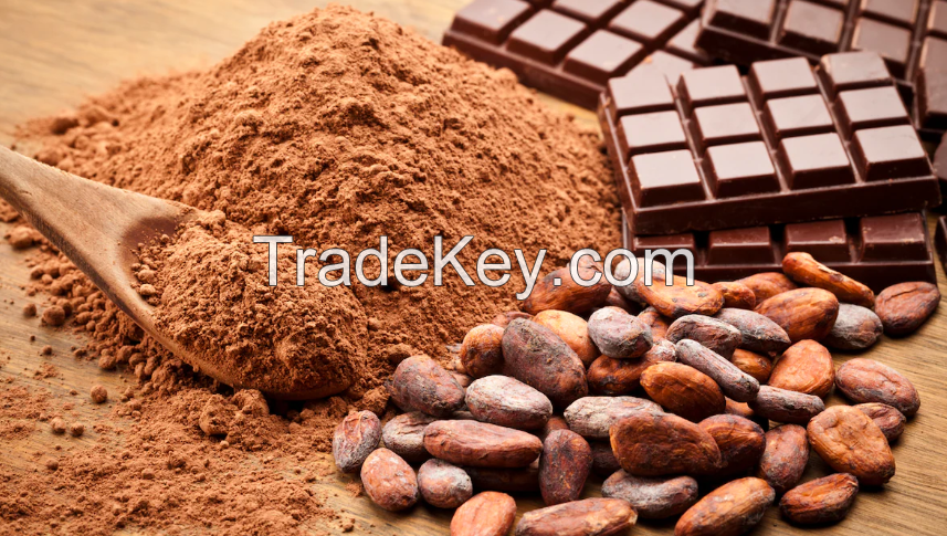 Cocoa Been Powder at Premium quality Wholesale.