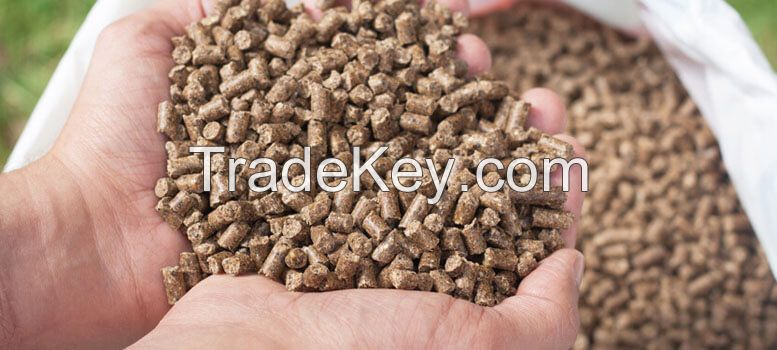 Cattle Feed Pellets 12 months Shelf Life Time Recommended to Animal Farming