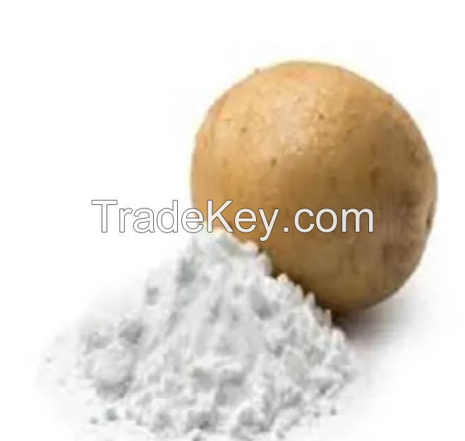 Potato tapioca starch/maize corn starch with High quality at Wholesale
