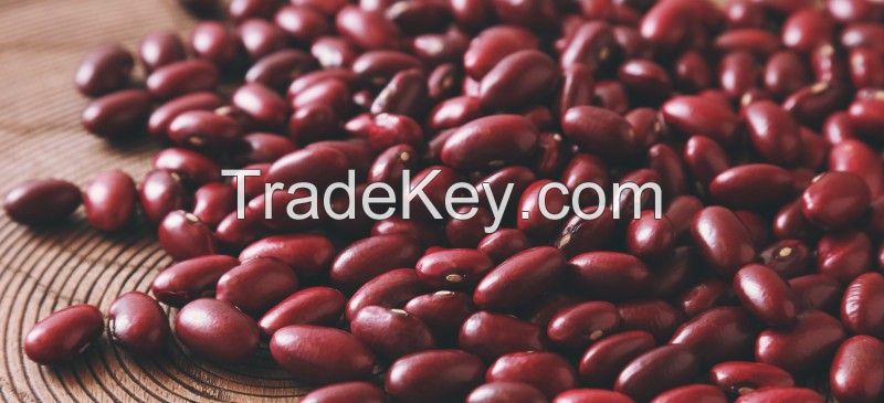 Red Kidney Beans