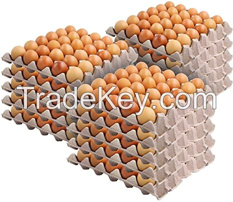 FRESH TABLE EGGS FOR SALE