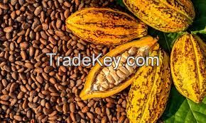 sack of cocoa beans for sale on market
