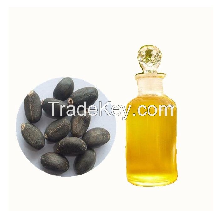 Wholesale Supplier Of Jatropha Oil