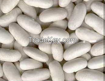 Quality White Kidney Beans