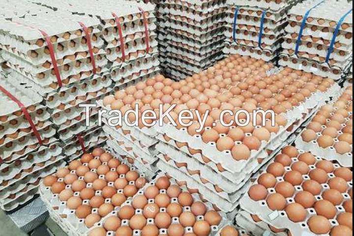 Fresh Brown Chickens Eggs