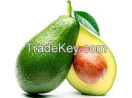 avocado for sale uk