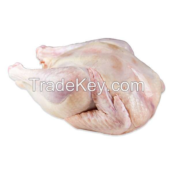 bulk whole chicken for sale