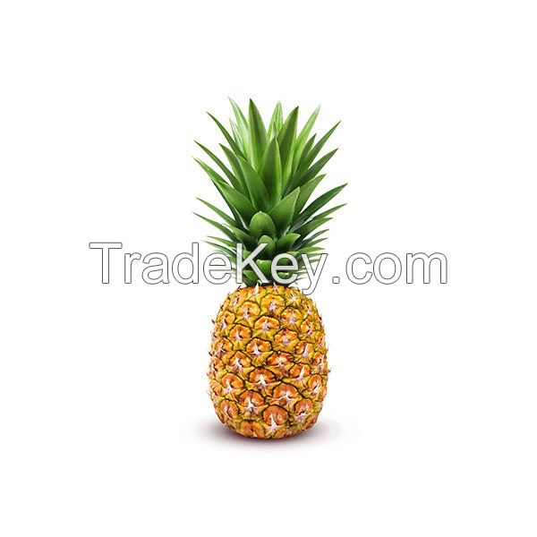 fresh pineapple for sale