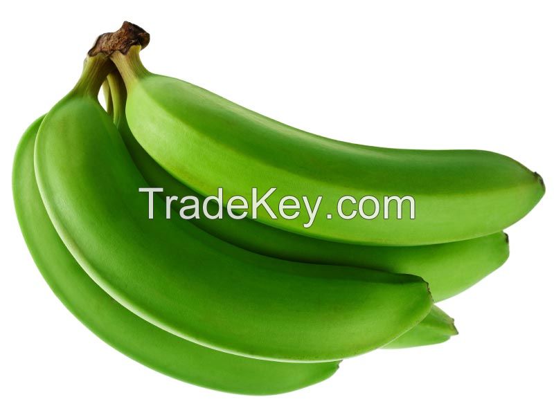 fresh green banana for sale worldwide