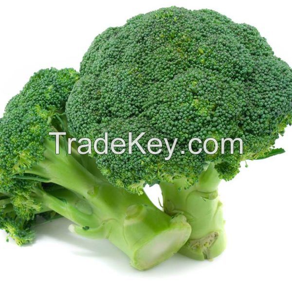 fresh broccoli for sale