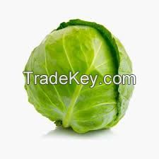 fresh cabbage for sale