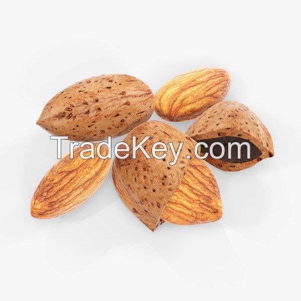 raw almonds nuts for sale