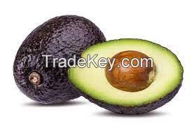 avocado for sale philippines