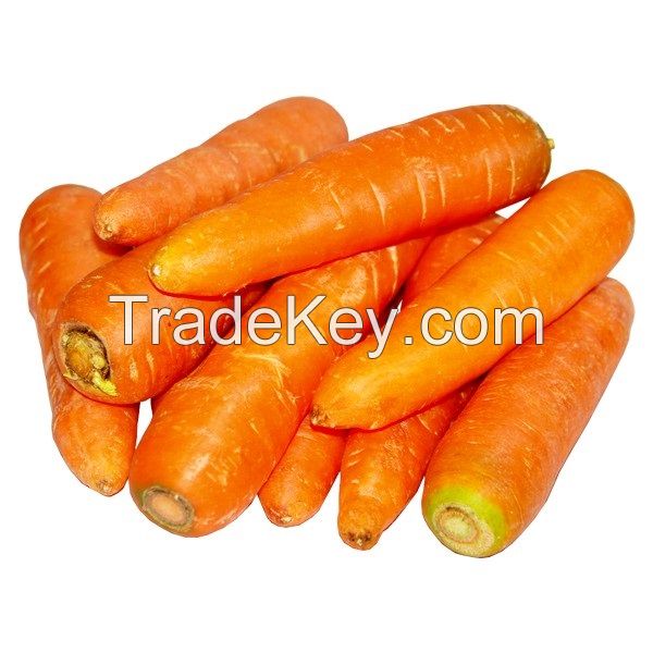 fresh carrots for sale west africa