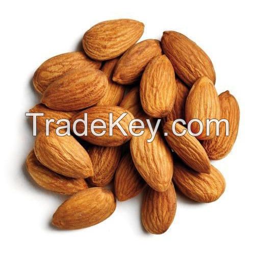 buy almond nuts for sale